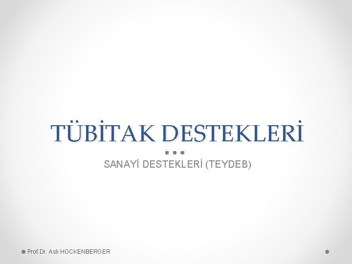 TÜBİTAK DESTEKLERİ SANAYİ DESTEKLERİ (TEYDEB) Prof. Dr. Aslı HOCKENBERGER 