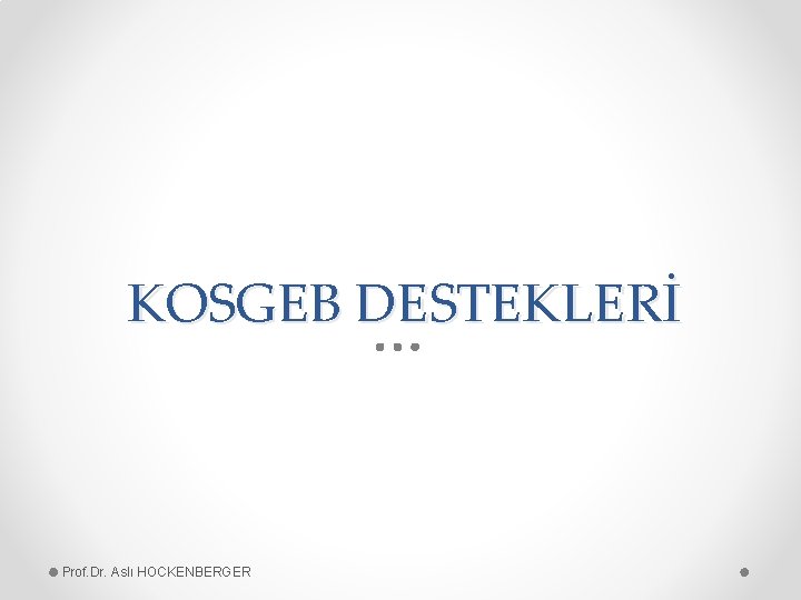 KOSGEB DESTEKLERİ Prof. Dr. Aslı HOCKENBERGER 