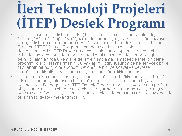  • • İleri Teknoloji Projeleri (İTEP) Destek Programı Türkiye Teknoloji Geliştirme Vakfı (TTGV),