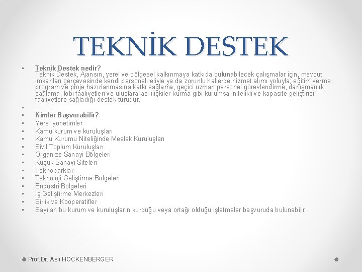  • • • • TEKNİK DESTEK Teknik Destek nedir? Teknik Destek, Ajansın, yerel