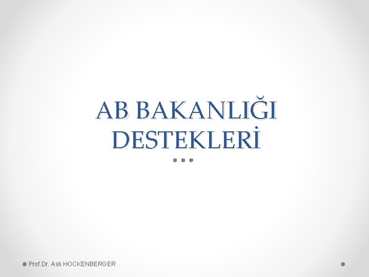 AB BAKANLIĞI DESTEKLERİ Prof. Dr. Aslı HOCKENBERGER 