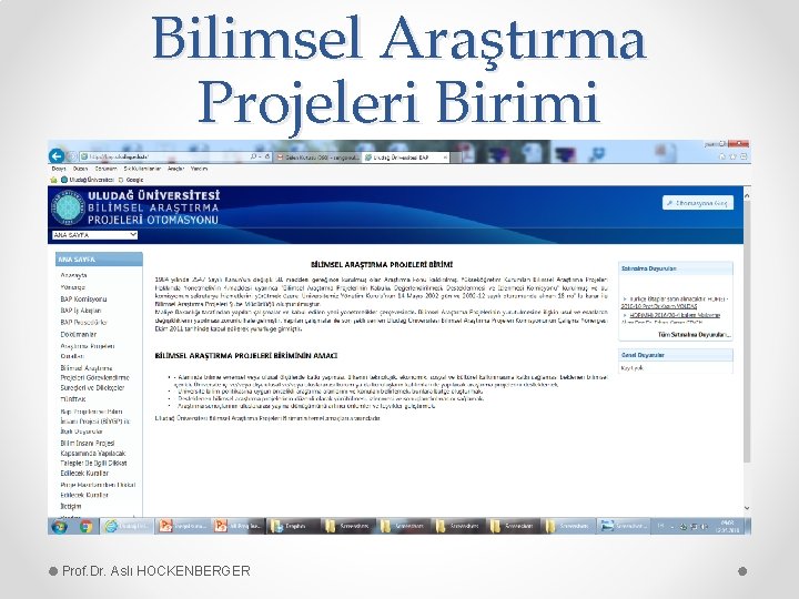 Bilimsel Araştırma Projeleri Birimi Prof. Dr. Aslı HOCKENBERGER 