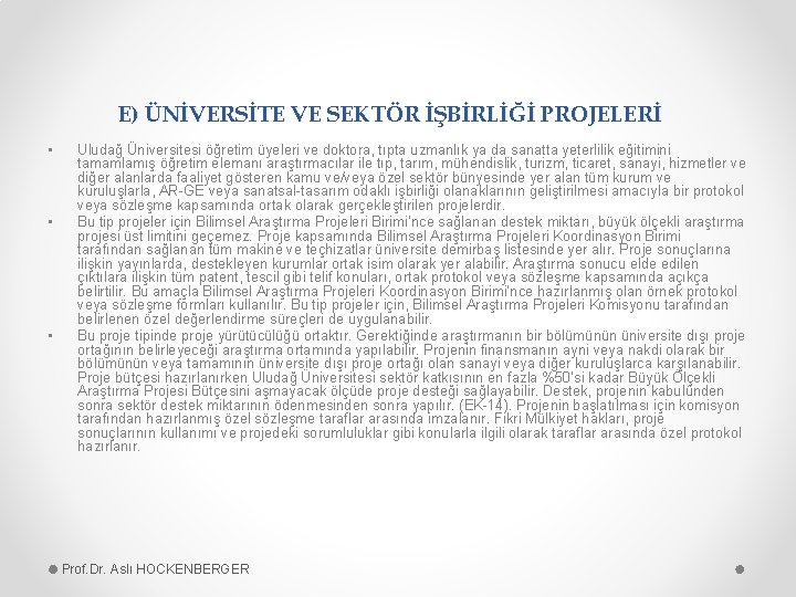 E) ÜNİVERSİTE VE SEKTÖR İŞBİRLİĞİ PROJELERİ • • • Uludağ Üniversitesi öğretim üyeleri ve