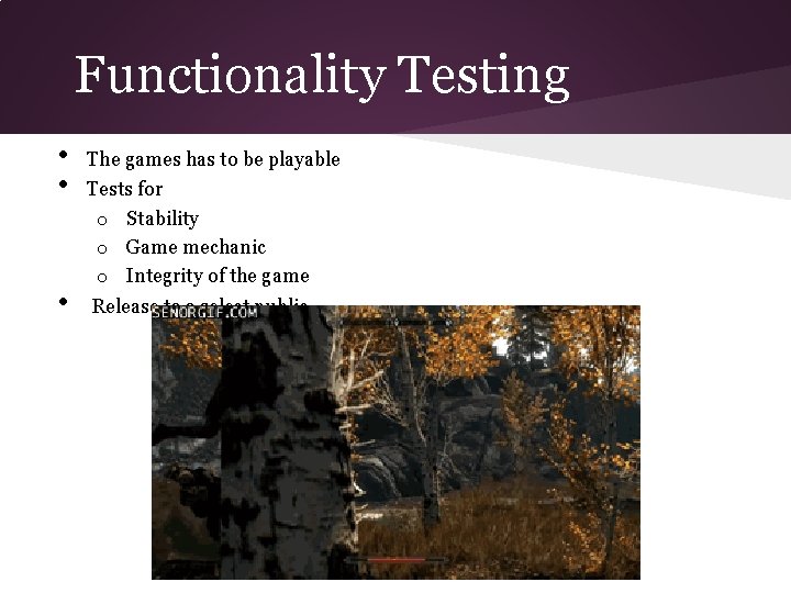 Functionality Testing • • • The games has to be playable Tests for o