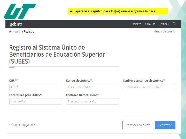 Así aparece el registro para los(as) nuevo ingreso a la beca 