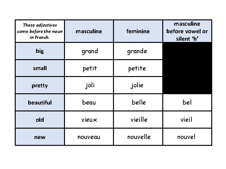 masculine before vowel or silent ‘h’ These adjectives come before the noun in French.