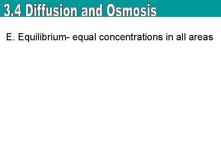 E. Equilibrium- equal concentrations in all areas 