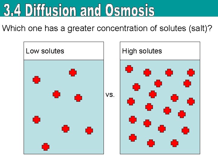 Which one has a greater concentration of solutes (salt)? Low solutes High solutes vs.