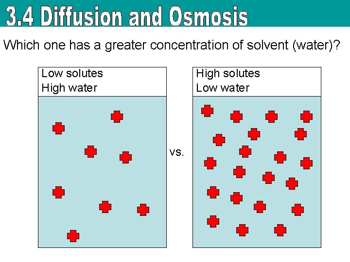Which one has a greater concentration of solvent (water)? Low solutes High water High