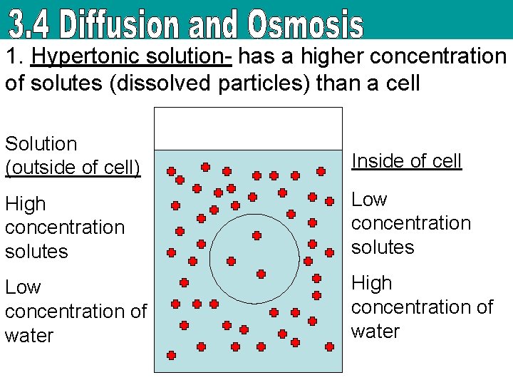 1. Hypertonic solution- has a higher concentration of solutes (dissolved particles) than a cell