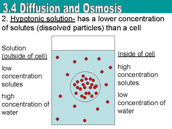 2. Hypotonic solution- has a lower concentration of solutes (dissolved particles) than a cell
