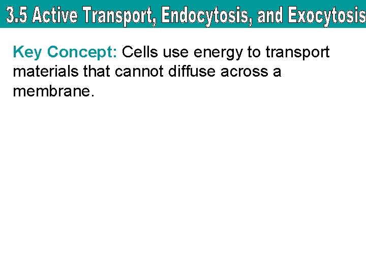 Key Concept: Cells use energy to transport materials that cannot diffuse across a membrane.