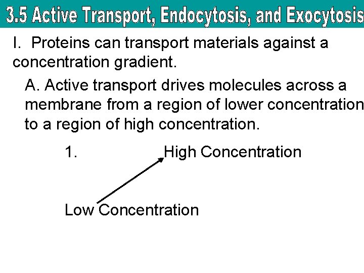 I. Proteins can transport materials against a concentration gradient. A. Active transport drives molecules