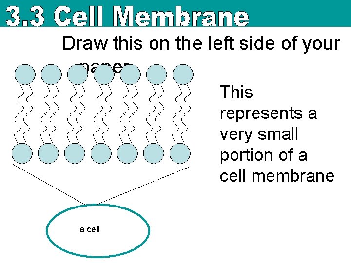 Draw this on the left side of your paper This represents a very small