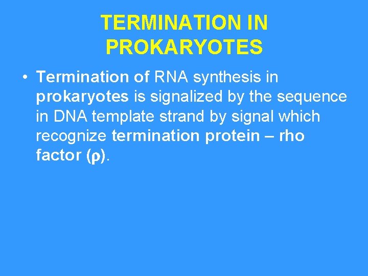 TERMINATION IN PROKARYOTES • Termination of RNA synthesis in prokaryotes is signalized by the