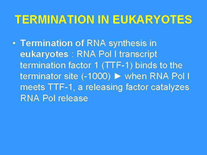 TERMINATION IN EUKARYOTES • Termination of RNA synthesis in eukaryotes : RNA Pol I