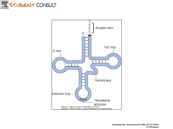 Downloaded from: Student. Consult (on 8 May 2013 01: 24 PM) © 2005 Elsevier
