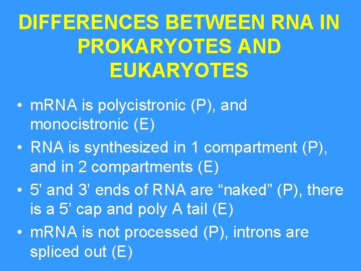 DIFFERENCES BETWEEN RNA IN PROKARYOTES AND EUKARYOTES • m. RNA is polycistronic (P), and