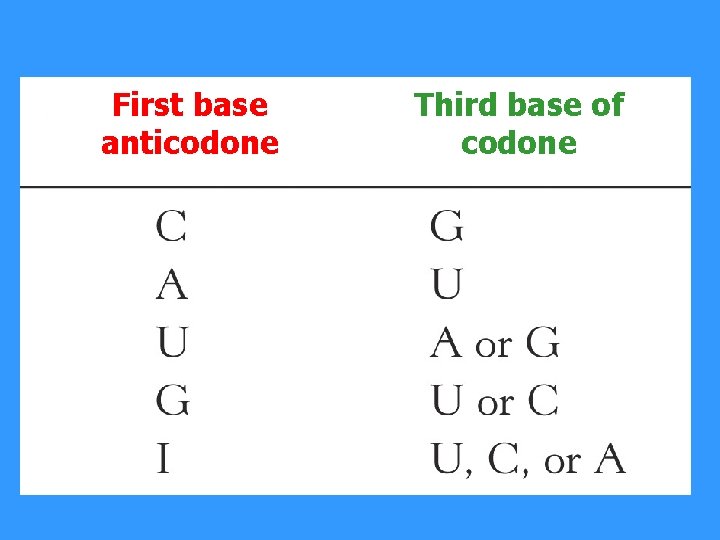 First base anticodone Third base of codone 