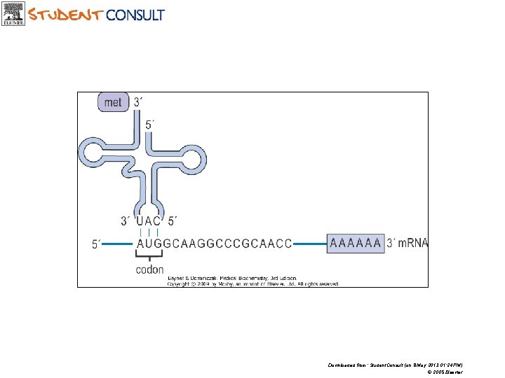 Downloaded from: Student. Consult (on 8 May 2013 01: 24 PM) © 2005 Elsevier