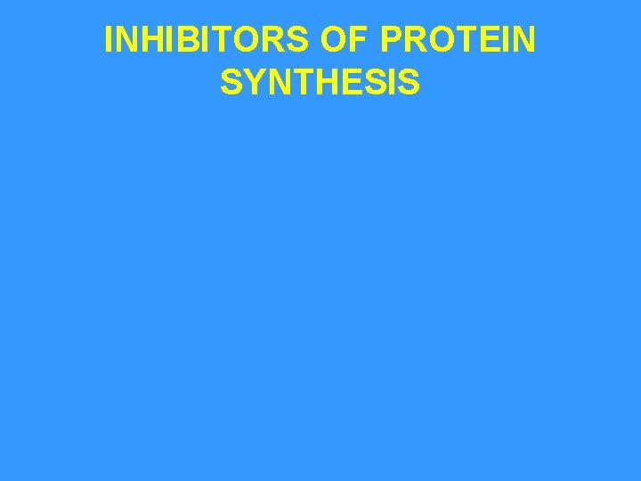 INHIBITORS OF PROTEIN SYNTHESIS 