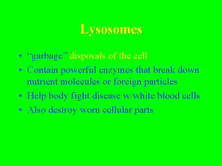 Lysosomes • “garbage” disposals of the cell • Contain powerful enzymes that break down