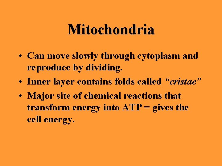 Mitochondria • Can move slowly through cytoplasm and reproduce by dividing. • Inner layer