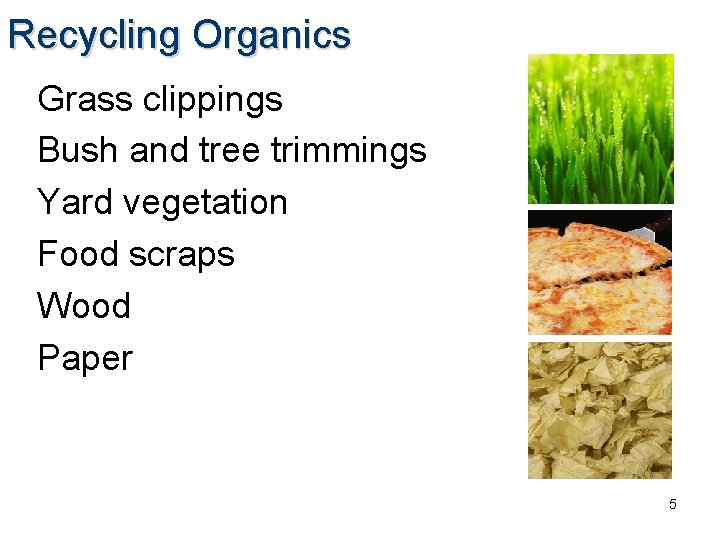 Recycling Organics Grass clippings Bush and tree trimmings Yard vegetation Food scraps Wood Paper