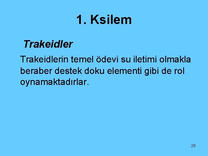 1. Ksilem Trakeidlerin temel ödevi su iletimi olmakla beraber destek doku elementi gibi de