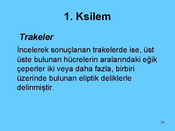 1. Ksilem Trakeler İncelerek sonuçlanan trakelerde ise, üste bulunan hücrelerin aralarındaki eğik çeperler iki