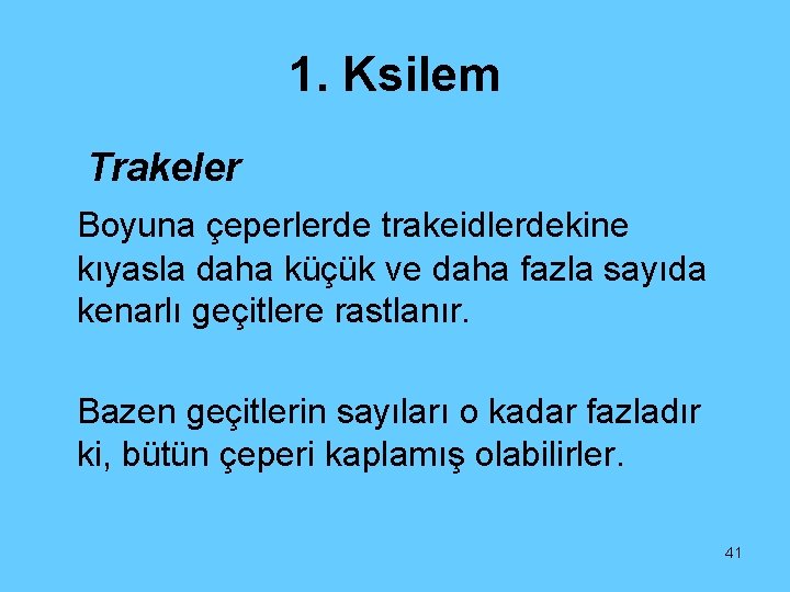 1. Ksilem Trakeler Boyuna çeperlerde trakeidlerdekine kıyasla daha küçük ve daha fazla sayıda kenarlı