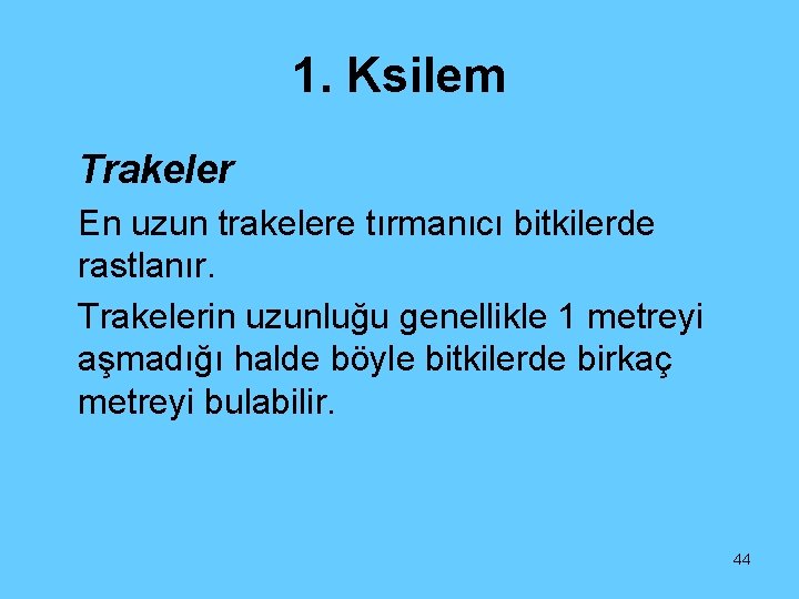 1. Ksilem Trakeler En uzun trakelere tırmanıcı bitkilerde rastlanır. Trakelerin uzunluğu genellikle 1 metreyi