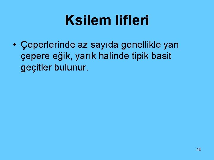 Ksilem lifleri • Çeperlerinde az sayıda genellikle yan çepere eğik, yarık halinde tipik basit