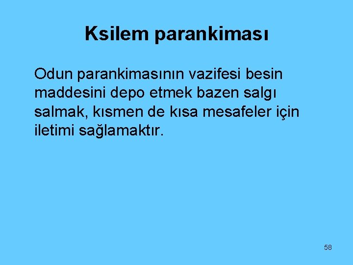 Ksilem parankiması Odun parankimasının vazifesi besin maddesini depo etmek bazen salgı salmak, kısmen de