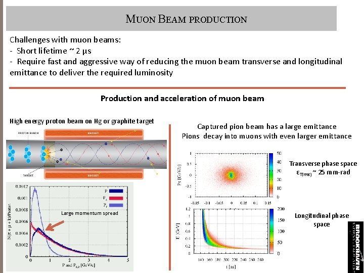 MUON BEAM PRODUCTION Challenges with muon beams: - Short lifetime ~ 2 μs -