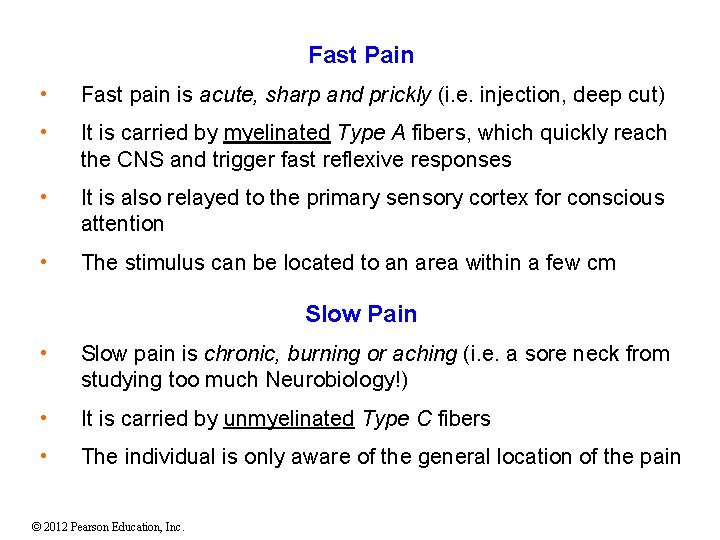 Fast Pain • Fast pain is acute, sharp and prickly (i. e. injection, deep