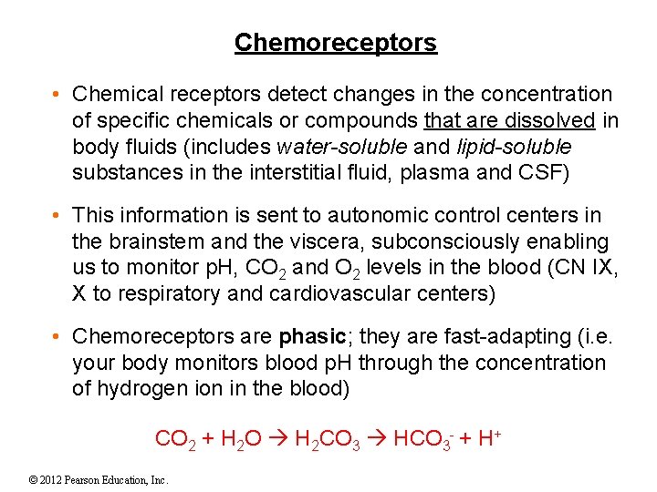Chemoreceptors • Chemical receptors detect changes in the concentration of specific chemicals or compounds