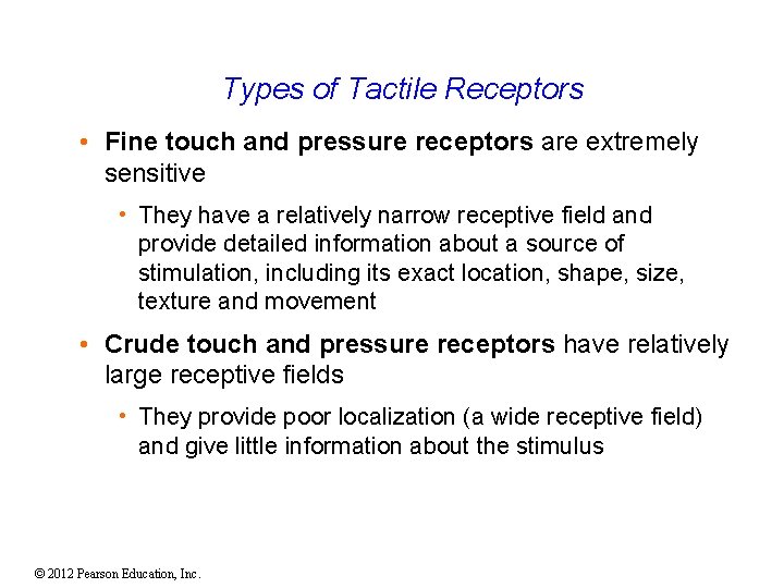 Types of Tactile Receptors • Fine touch and pressure receptors are extremely sensitive •