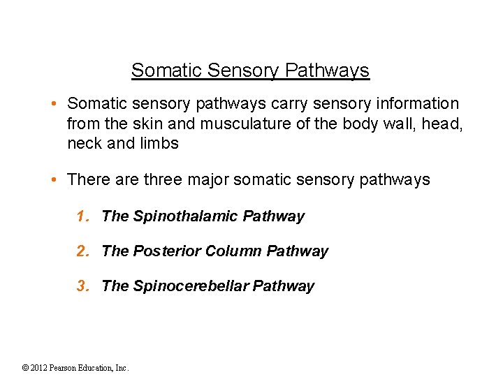 Somatic Sensory Pathways • Somatic sensory pathways carry sensory information from the skin and