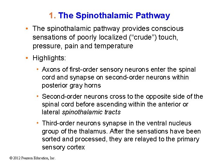 1. The Spinothalamic Pathway • The spinothalamic pathway provides conscious sensations of poorly localized