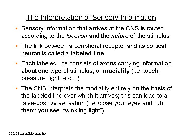 The Interpretation of Sensory Information • Sensory information that arrives at the CNS is