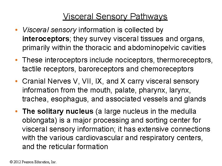 Visceral Sensory Pathways • Visceral sensory information is collected by interoceptors; they survey visceral