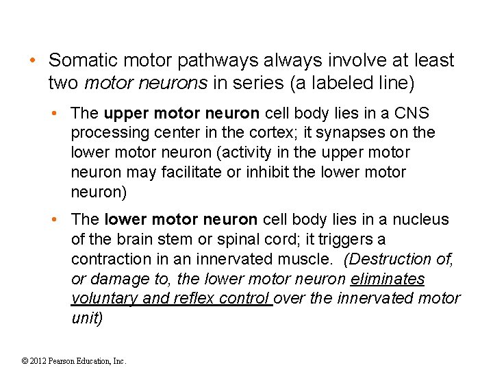  • Somatic motor pathways always involve at least two motor neurons in series