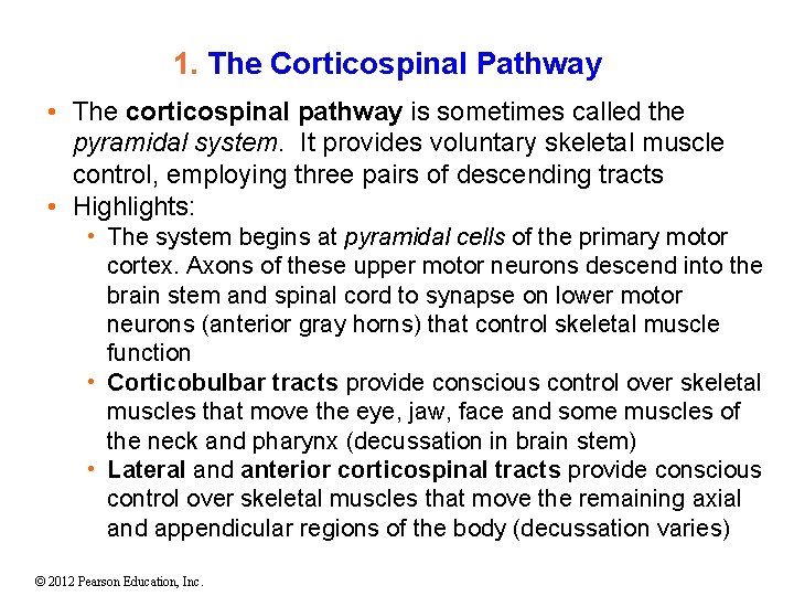 1. The Corticospinal Pathway • The corticospinal pathway is sometimes called the pyramidal system.