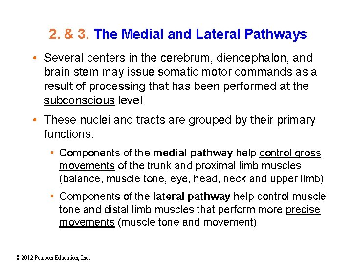 2. & 3. The Medial and Lateral Pathways • Several centers in the cerebrum,