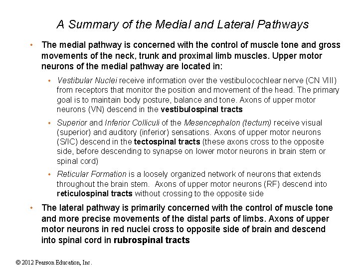 A Summary of the Medial and Lateral Pathways • The medial pathway is concerned