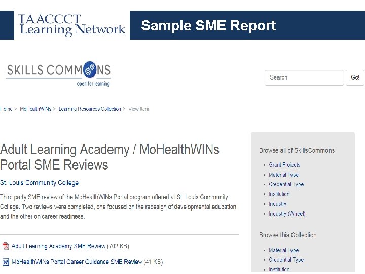 Sample SME Report 
