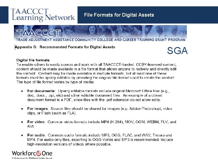 File Formats for Digital Assets SGA 