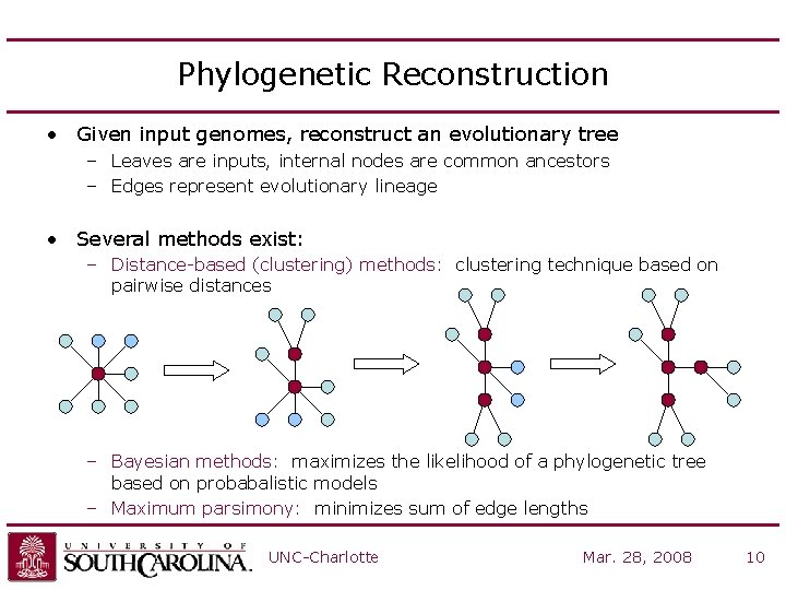 Phylogenetic Reconstruction • Given input genomes, reconstruct an evolutionary tree – Leaves are inputs,