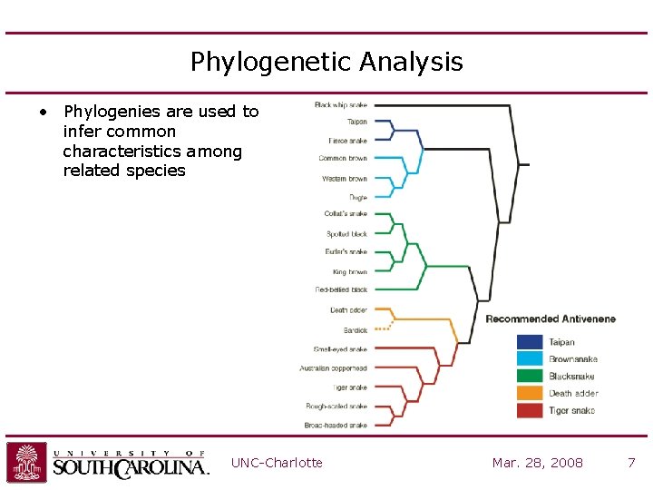 Phylogenetic Analysis • Phylogenies are used to infer common characteristics among related species UNC-Charlotte